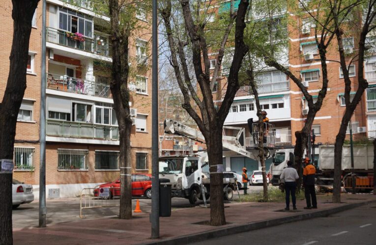 El Plan de Podas Municipal llega a distintos barrios de Alcalá