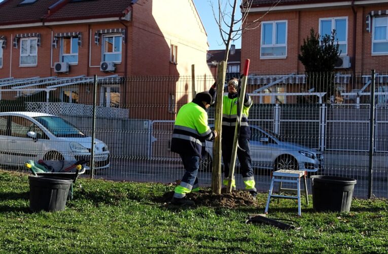 La zona deportiva de El Ensanche albergará una plantación de más de un centenar de árboles