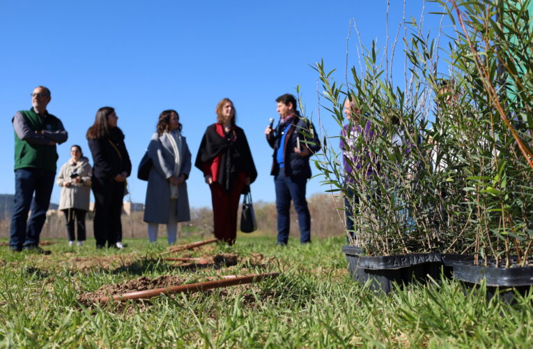 Nueva plantación de arbolado con 400 ejemplares en el Bosque Comestible de la Isla del Colegio