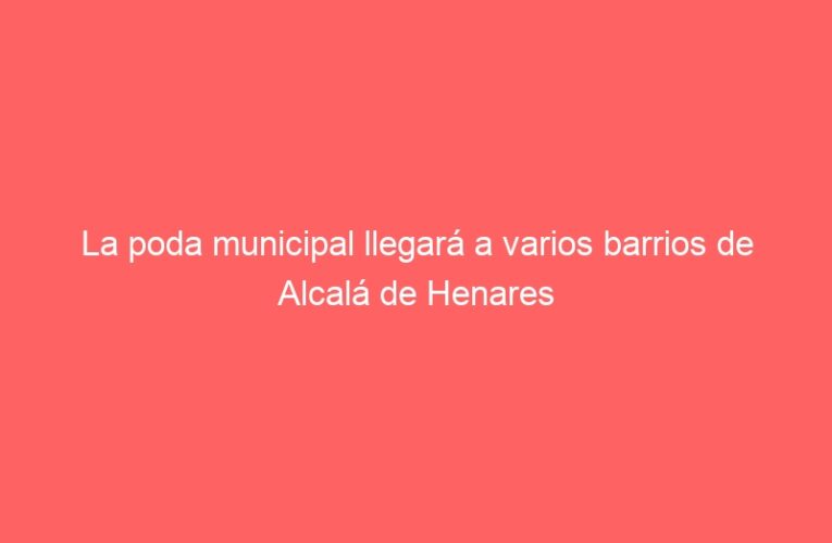La poda municipal llegará a varios barrios de Alcalá de Henares