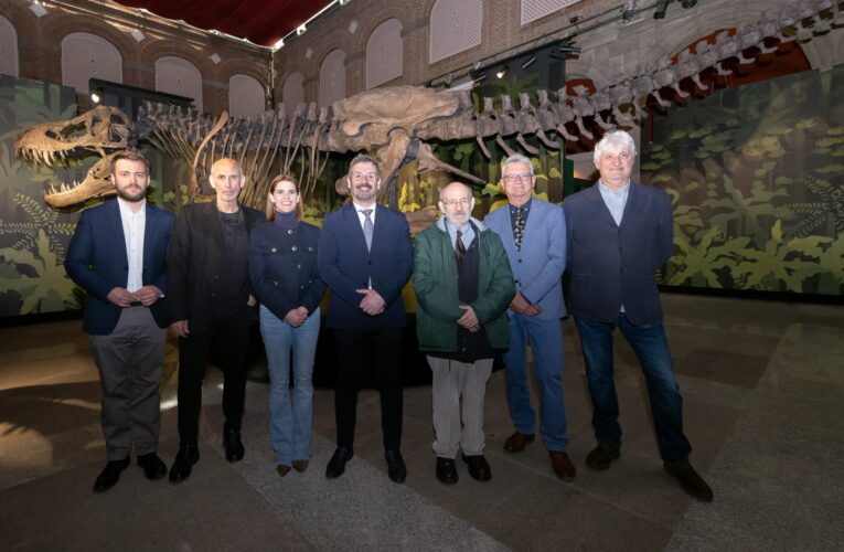 ‘Cazadores de Dragones’, la nueva exposición del Museo Arqueológico y Paleontológico que se puede ver en Alcalá hasta el 12 de enero