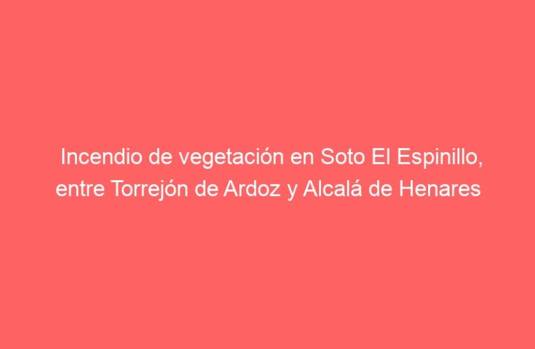 Incendio de vegetación en Soto El Espinillo, entre Torrejón de Ardoz y Alcalá de Henares