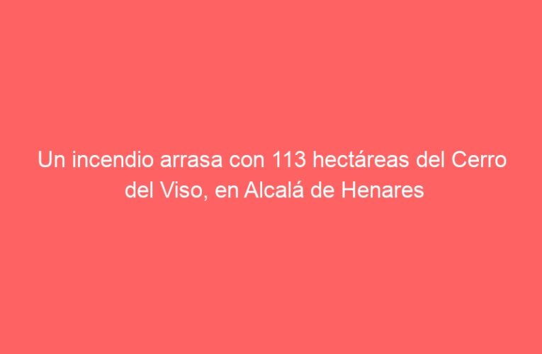 Un incendio arrasa con 113 hectáreas del Cerro del Viso, en Alcalá de Henares