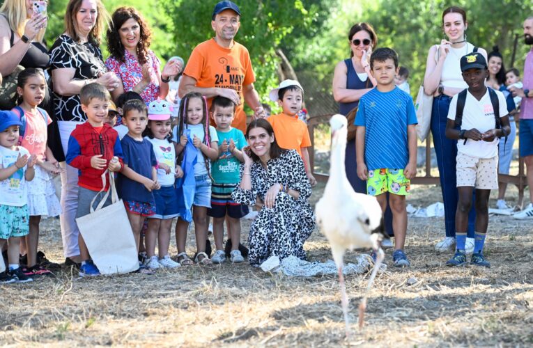 Alcalá de Henares acoge un año más la tradicional suelta de cigüeñas desde la Huerta del Obispo