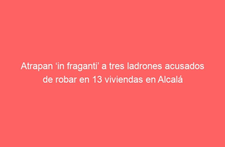Atrapan ‘in fraganti’ a tres ladrones acusados de robar en 13 viviendas en Alcalá