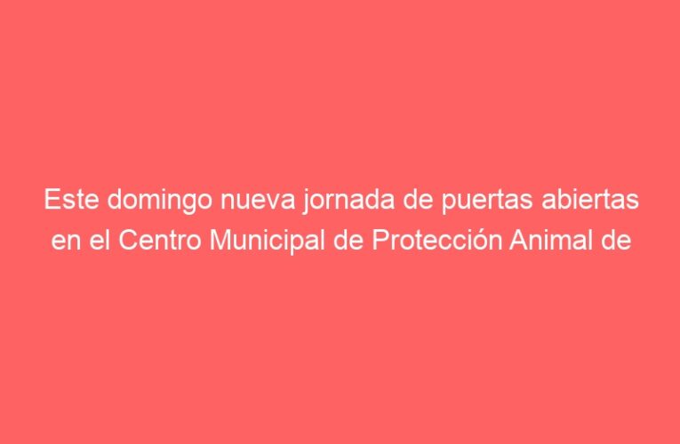 Este domingo nueva jornada de puertas abiertas en el Centro Municipal de Protección Animal de Alcalá