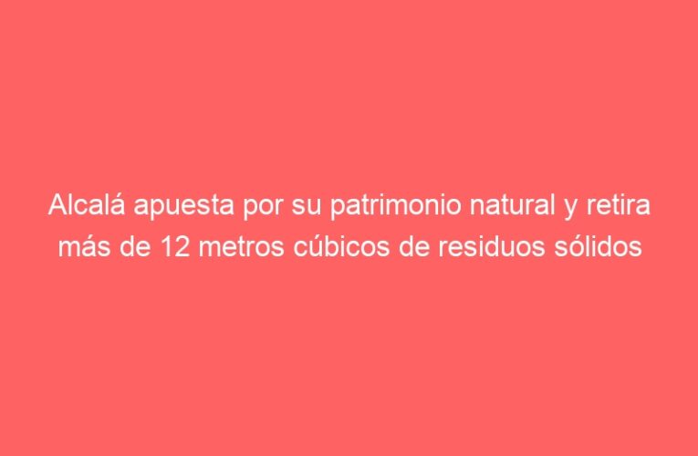 Alcalá apuesta por su patrimonio natural y retira más de 12 metros cúbicos de residuos sólidos y restos vegetales del arroyo Camarmilla
