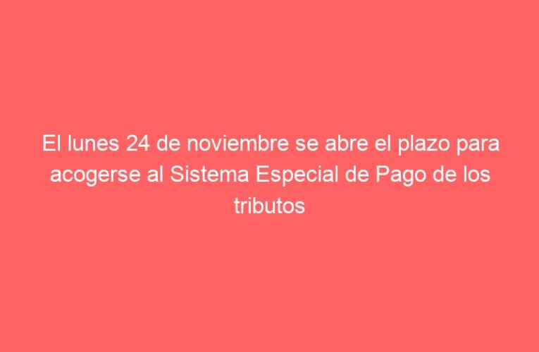 El lunes 24 de noviembre se abre el plazo para acogerse al Sistema Especial de Pago de los tributos municipales