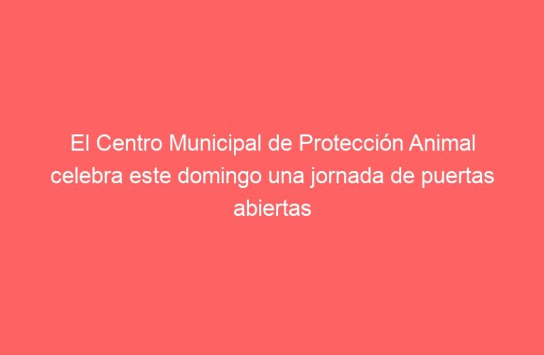 El Centro Municipal de Protección Animal celebra este domingo una jornada de puertas abiertas