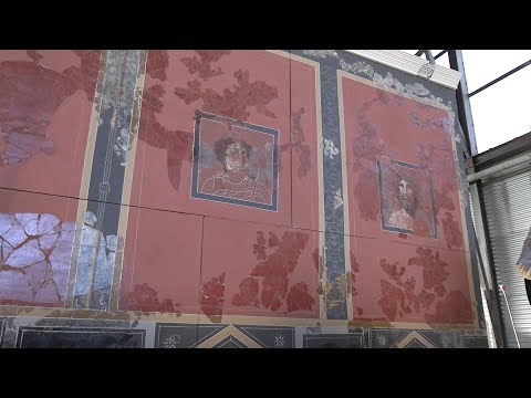 PRESENTACIÓN NUEVA ESTANCIA LOS GRIFOS