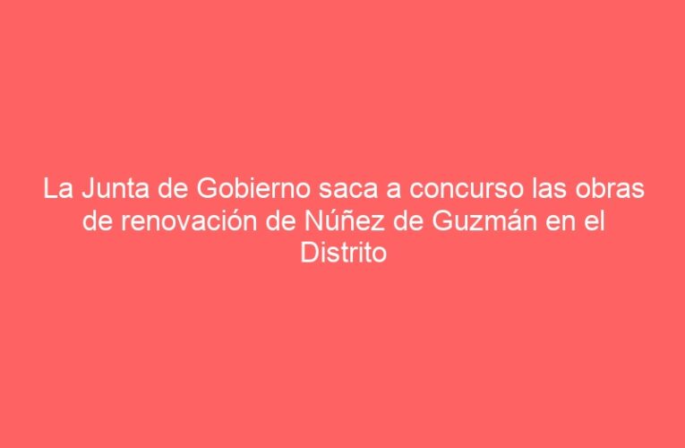 La Junta de Gobierno saca a concurso las obras de renovación de Núñez de Guzmán en el Distrito II por 1,7 millones de euros