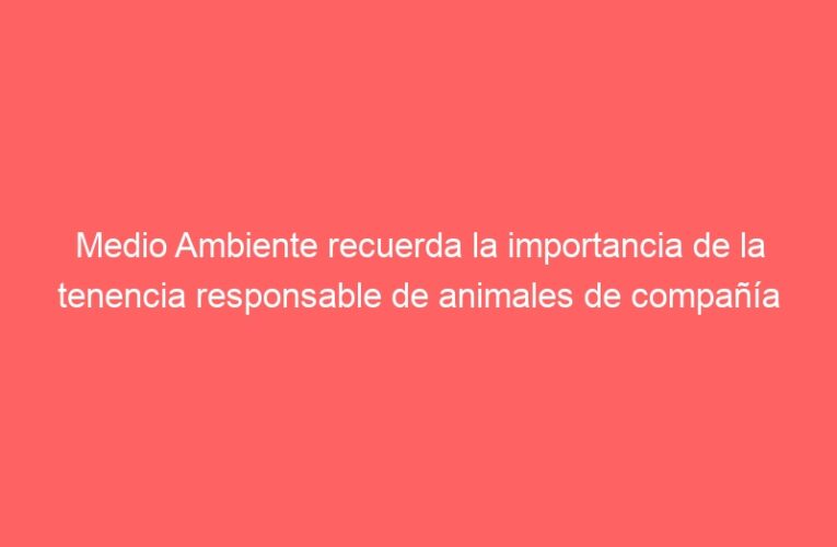 Medio Ambiente recuerda la importancia de la tenencia responsable de animales de compañía